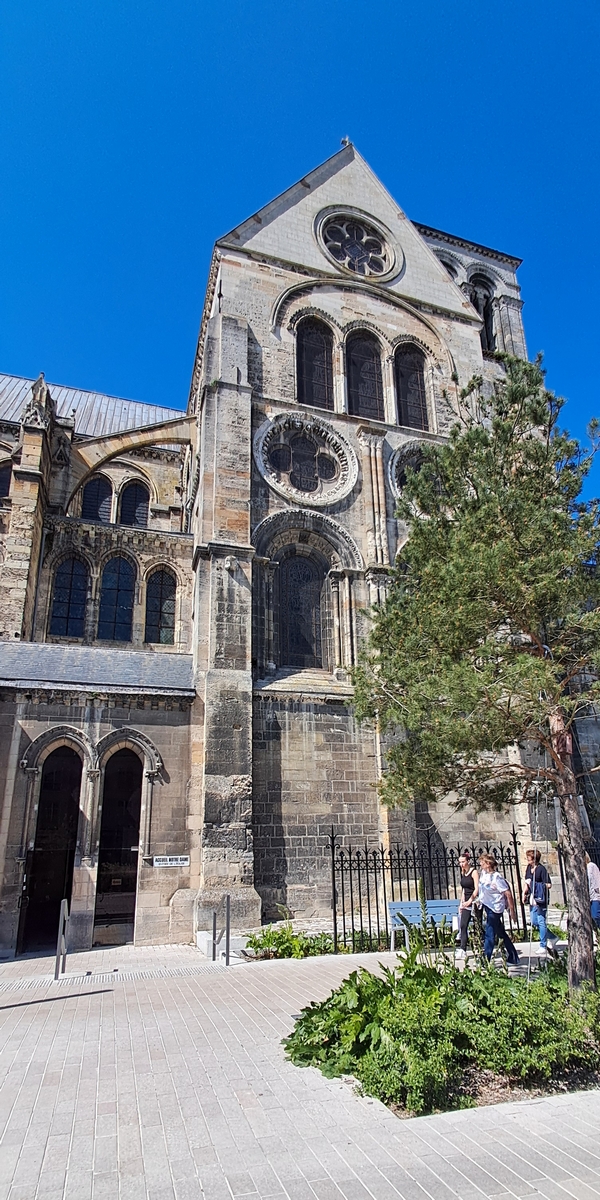 20250509 photo 18